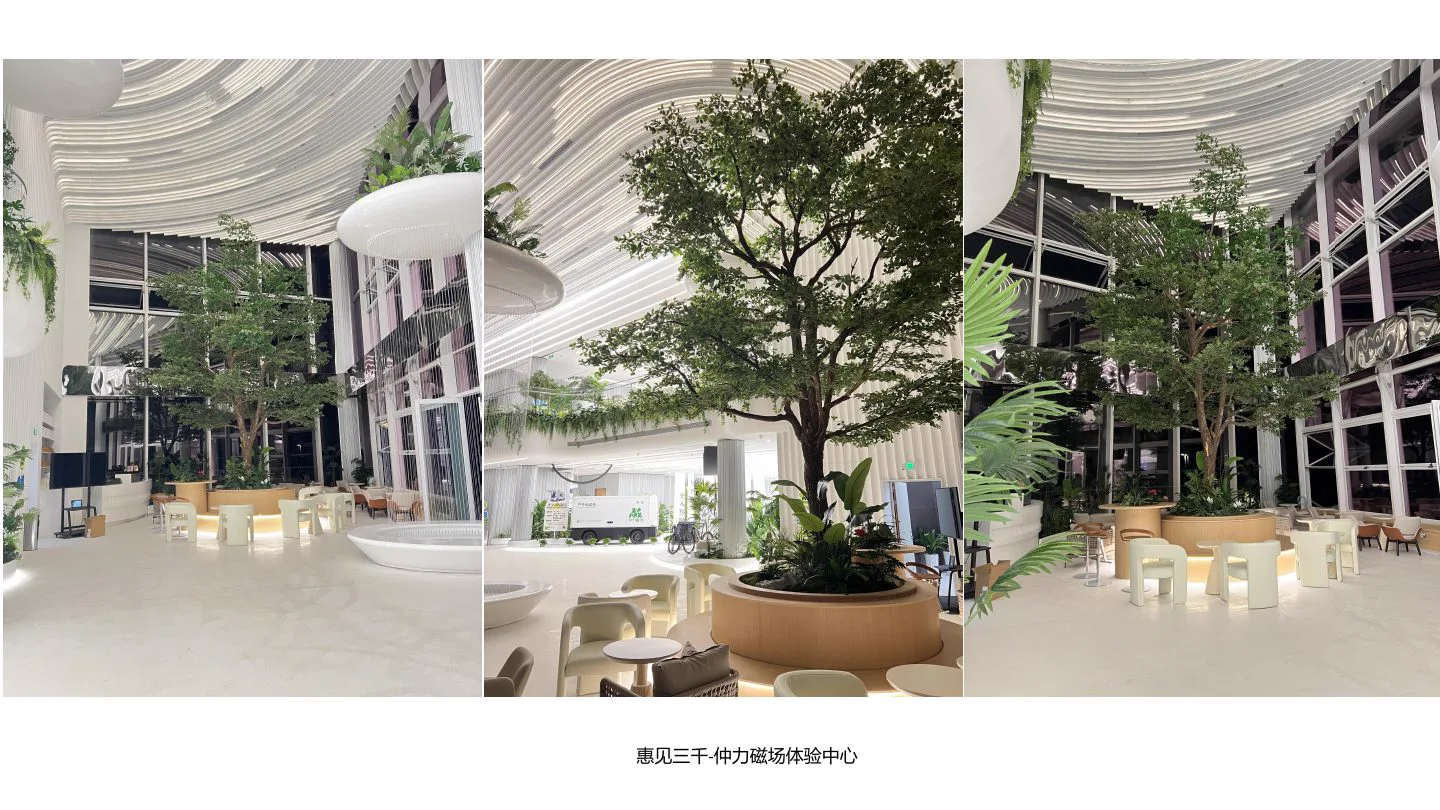 惠见三千·仲力磁场体验中心项目实景