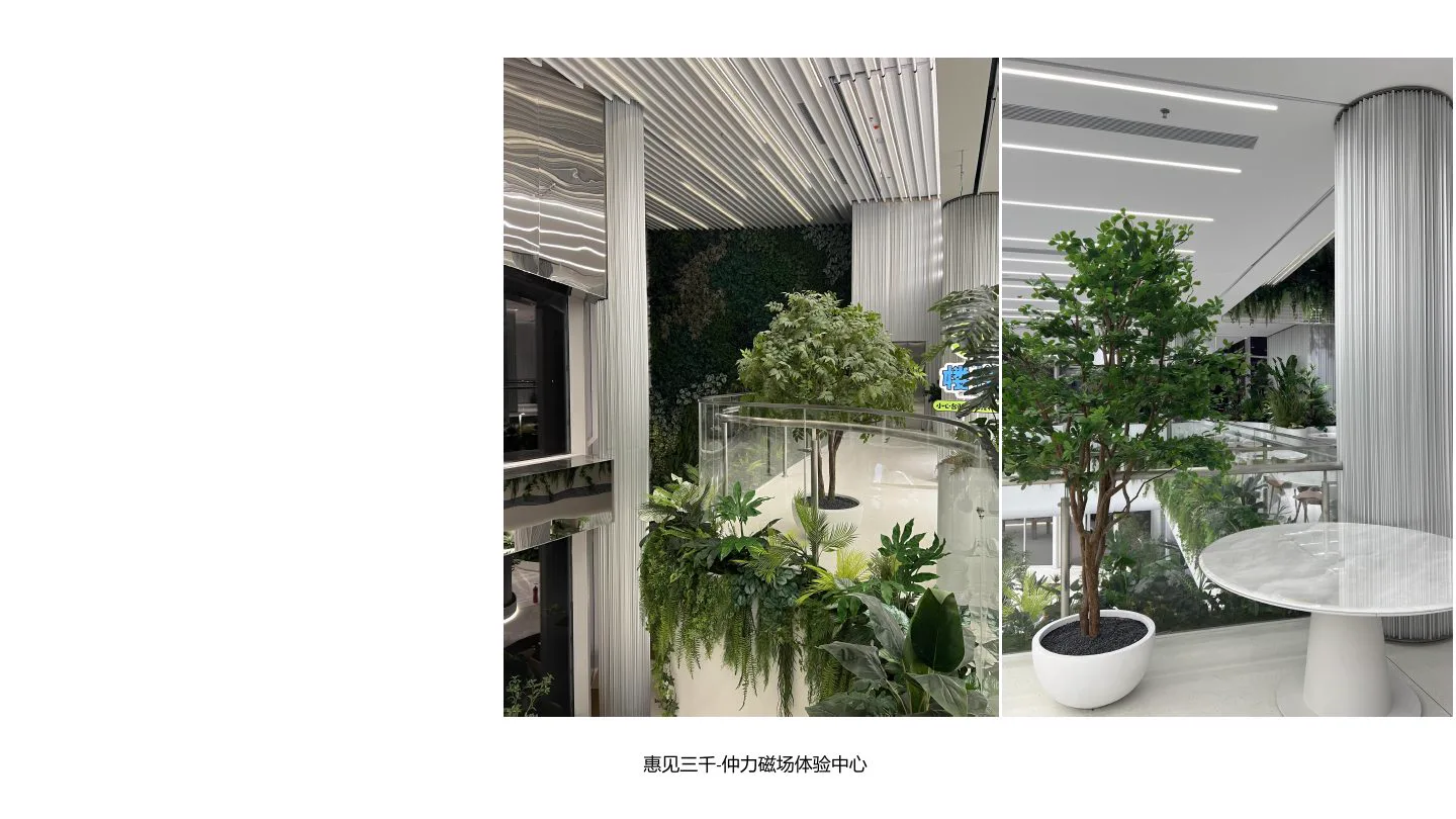 惠见三千·仲力磁场体验中心项目实景