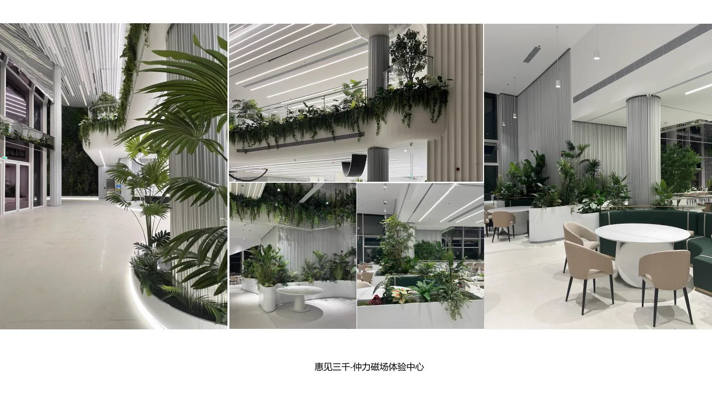 惠见三千·仲力磁场体验中心项目实景