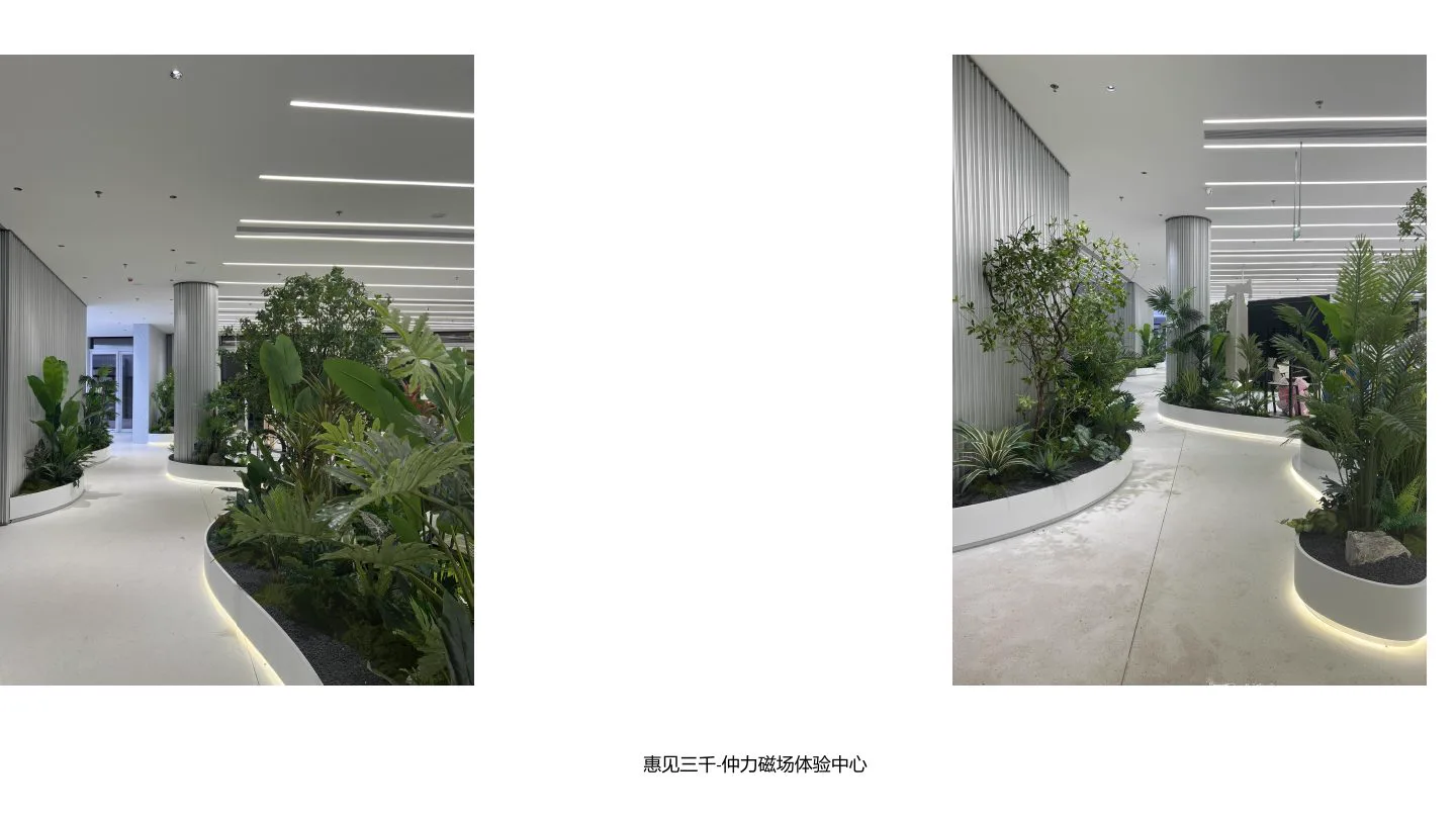 惠见三千·仲力磁场体验中心项目实景