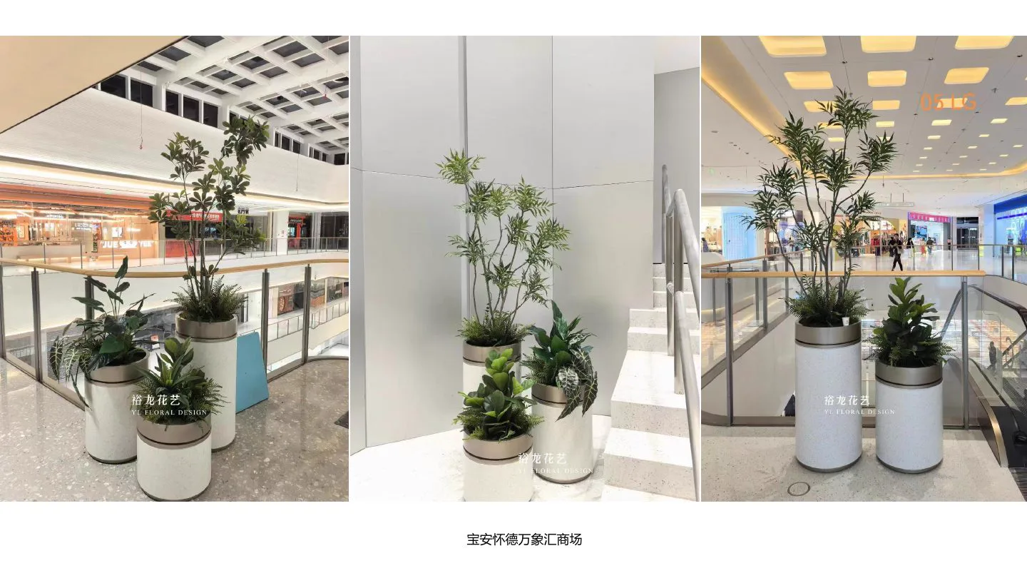 商场落地绿植项目实景