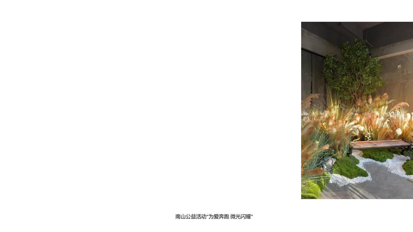 南山公益活动打卡项目实景