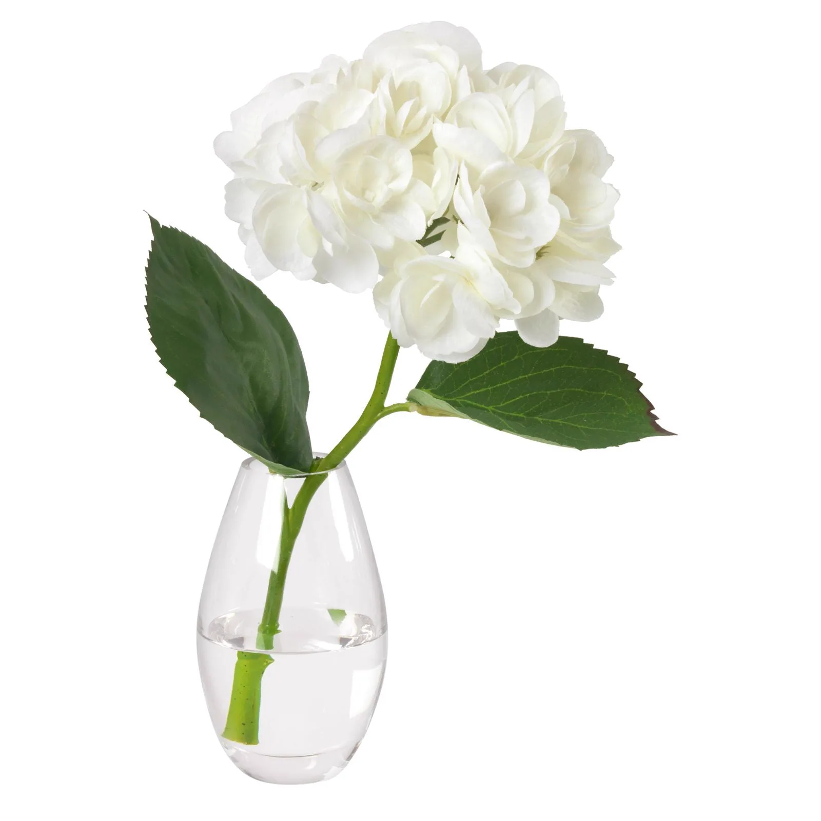 精选花艺 8