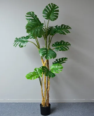 pu杆龟背