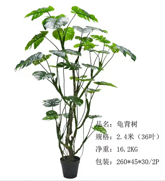 造型龟背