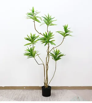 异形百合竹