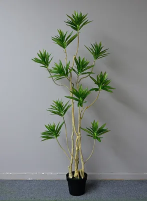精简版百合竹