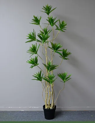 精简版百合竹