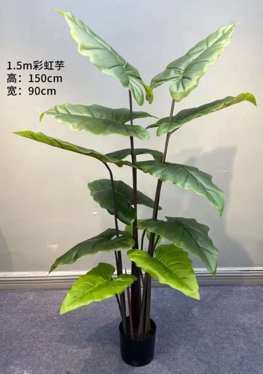 彩虹芋