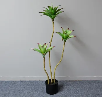 3头睡莲