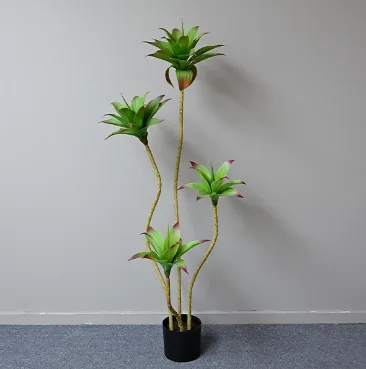 4头睡莲