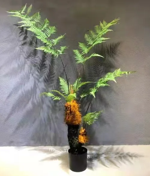 粗杆蕨树