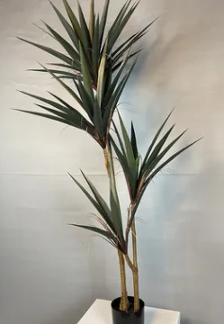 小叶剑兰