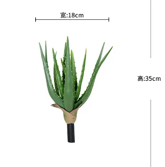 特小芦荟