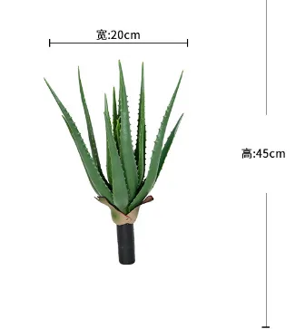 中芦荟