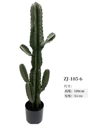 105-6仙人掌