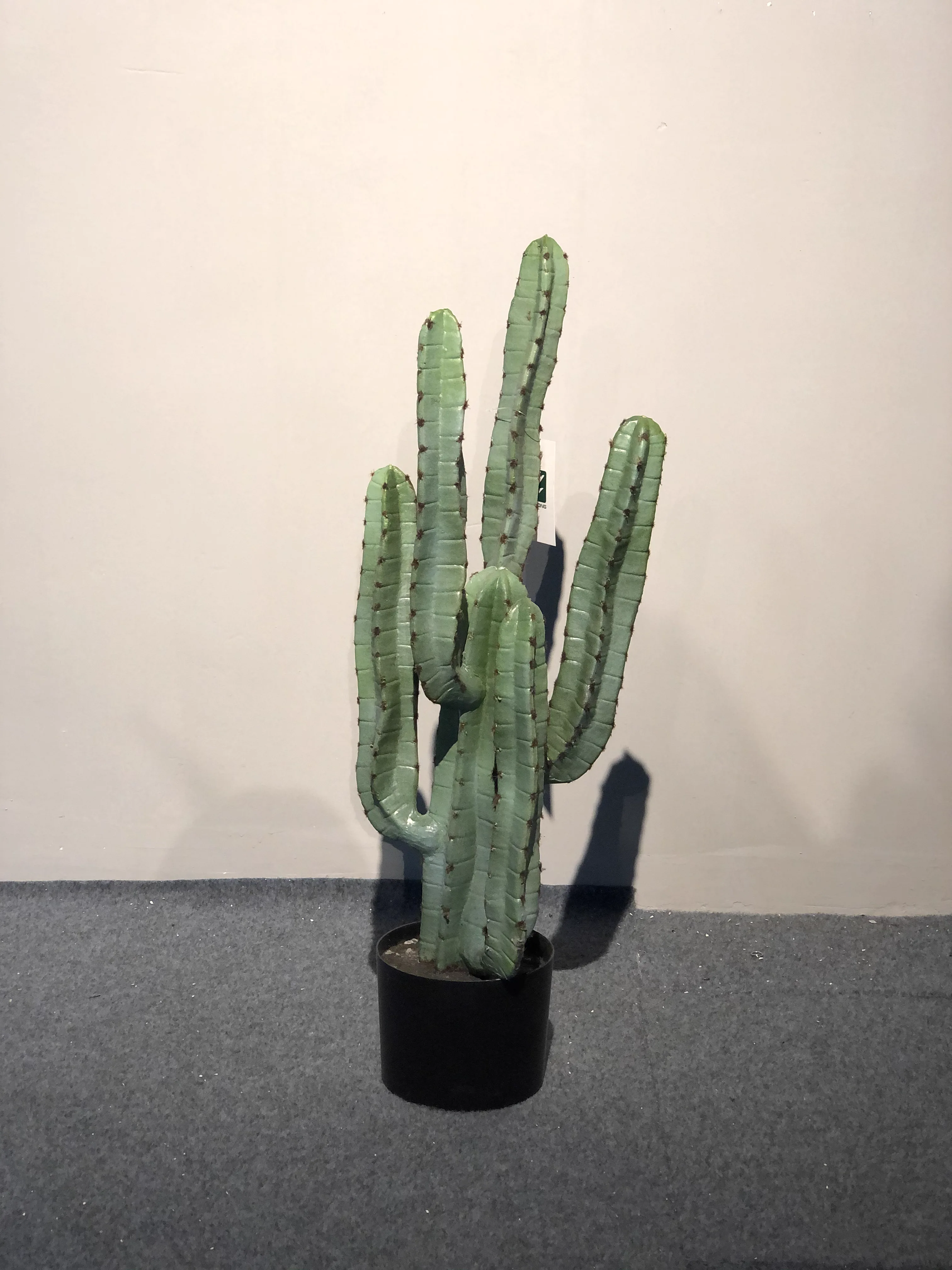 6手仙人柱