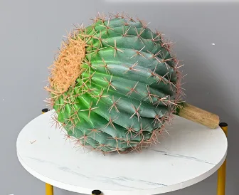 4D仙人球中号