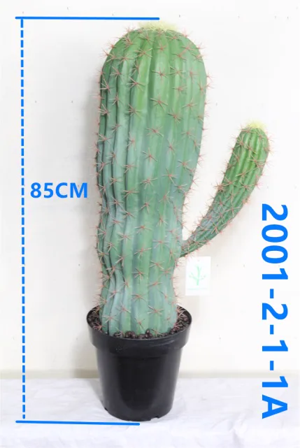 2001-2-1-1a