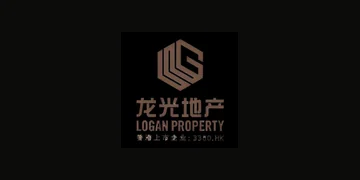 合作伙伴 24